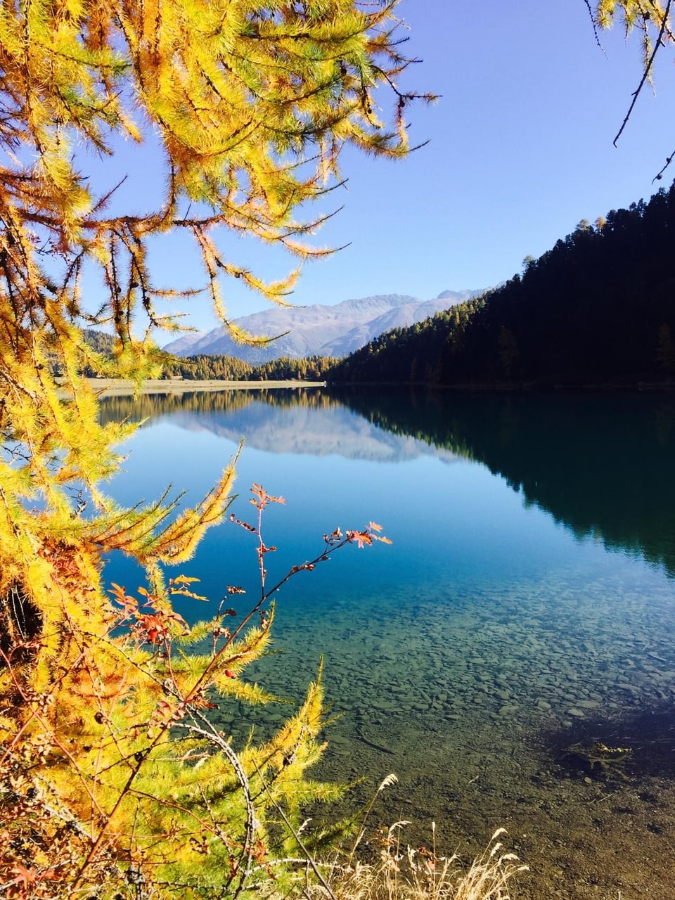 Blick auf Bergsee mit Herbstbäumen und Bergkulisse.