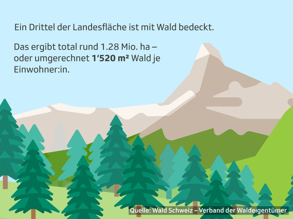 Eine Grafik, die zeigt, dass ein Drittel der Landesfläche mti Wald bedeckt ist. 