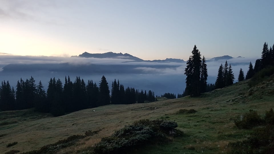 Sin l'Alp muota a Ladir.