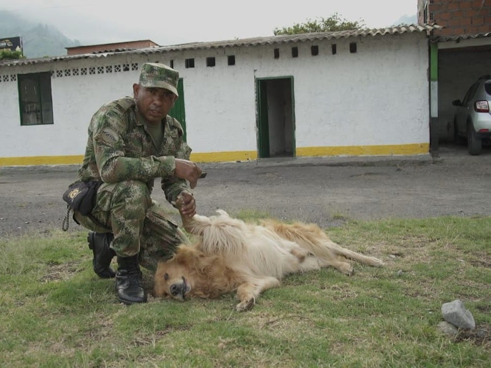 Ein Soldat streichelt einen Hund am Boden.