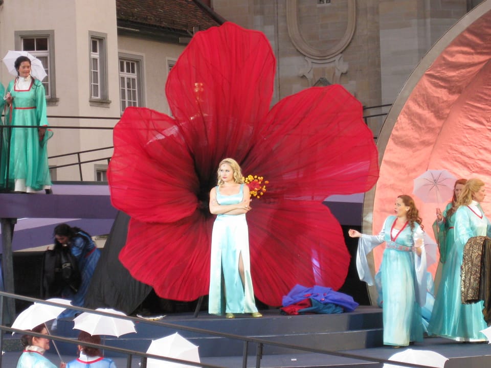 Sängerin vor einer roten Blume