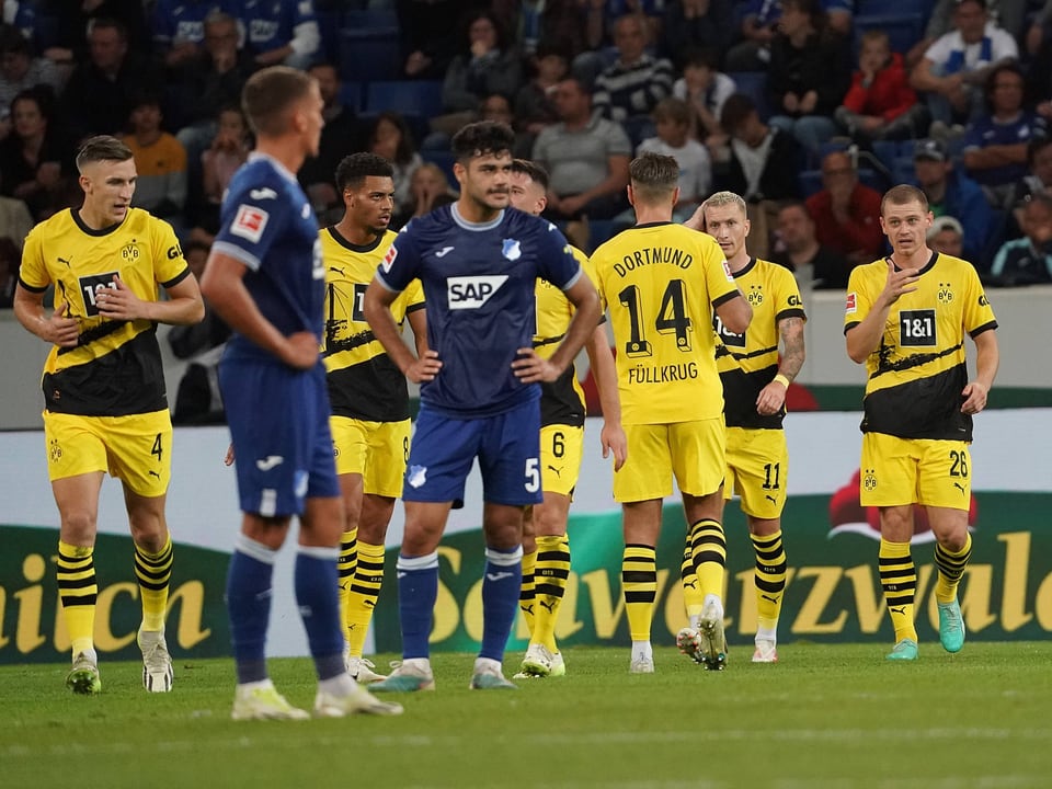 Die Dortmund-Spieler bejubeln das 2:0 durch Marco Reus.