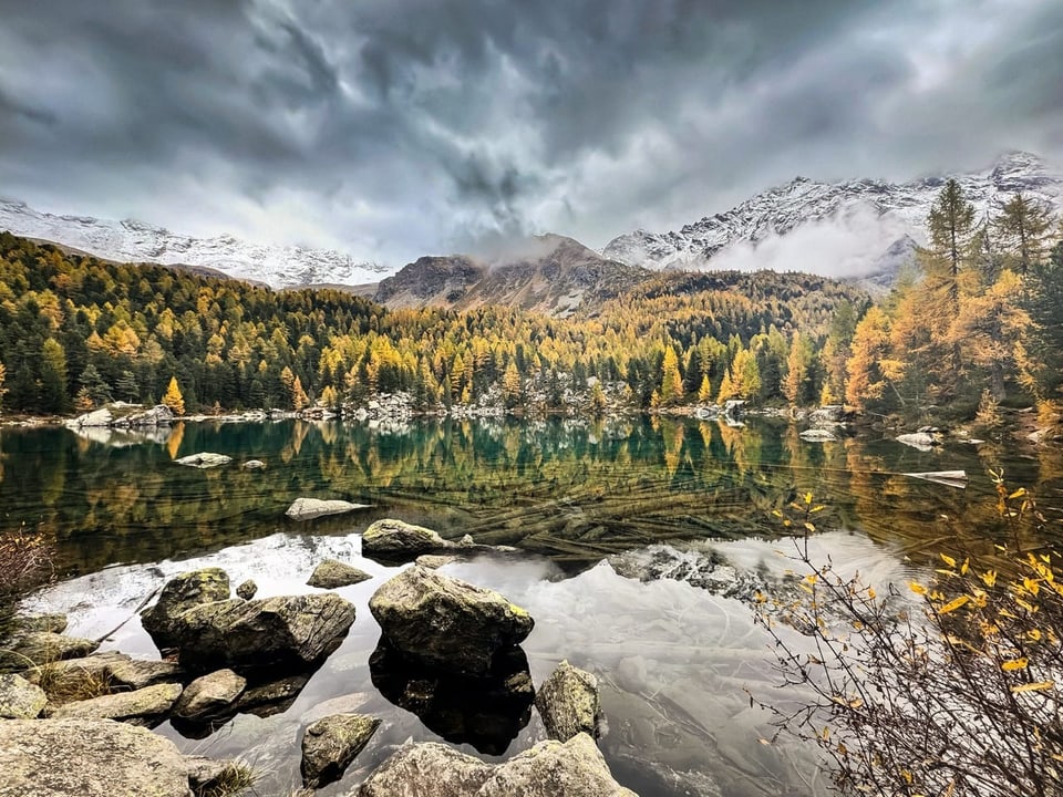 Bergsee mit Herbstwald und schneebedeckten Bergen im Hintergrund.