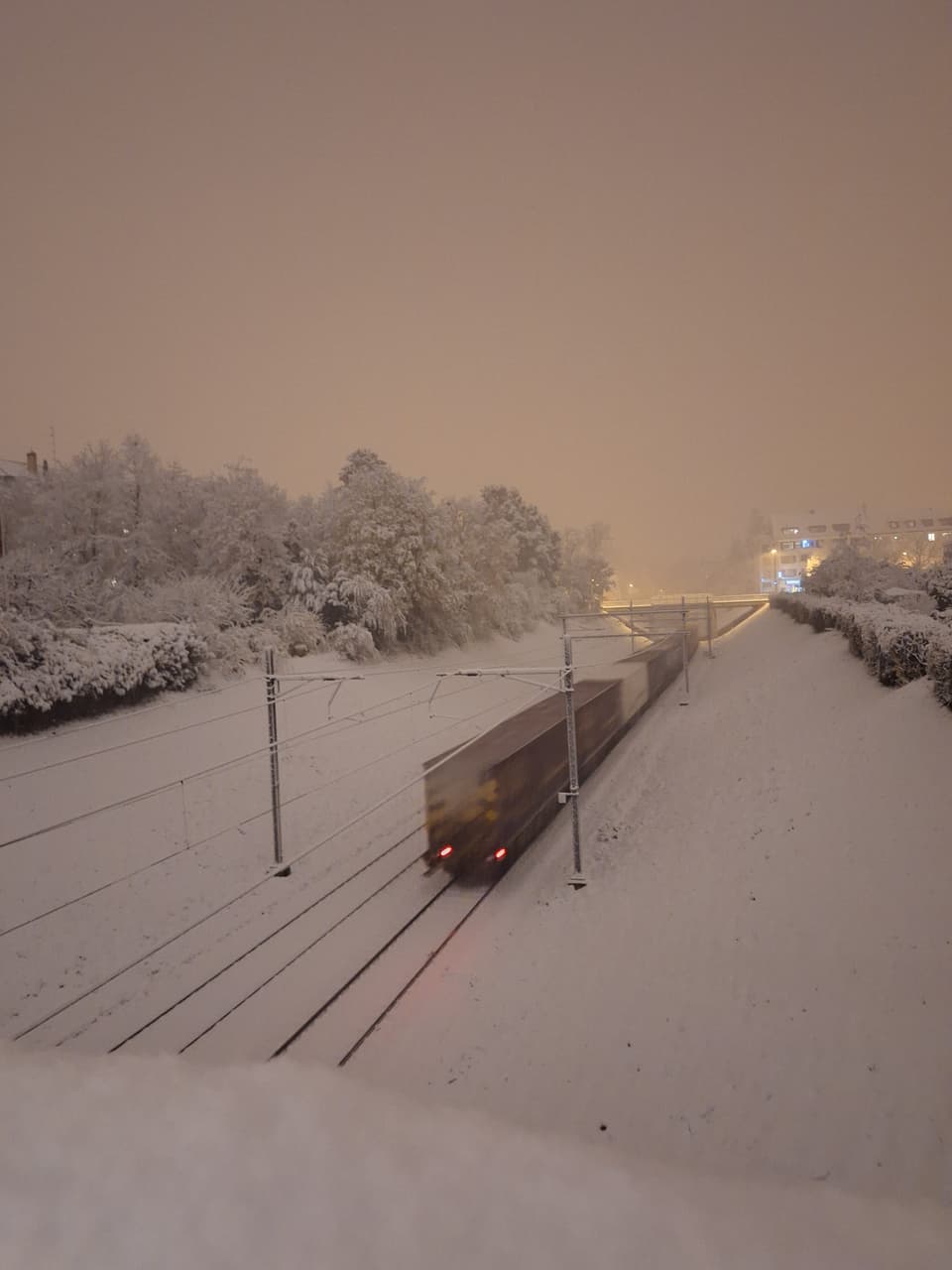 Zug im Schnee