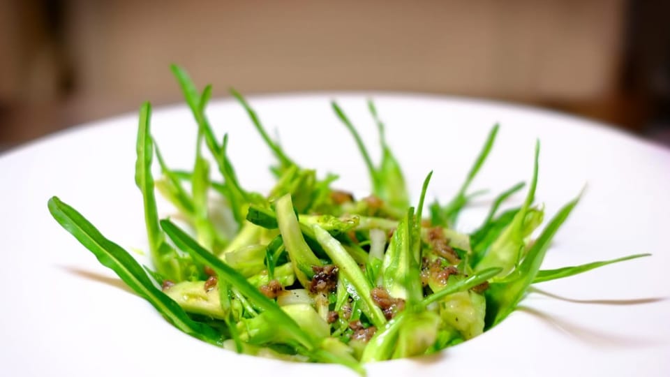 Puntarelle alla Romana auf einem weissen Teller