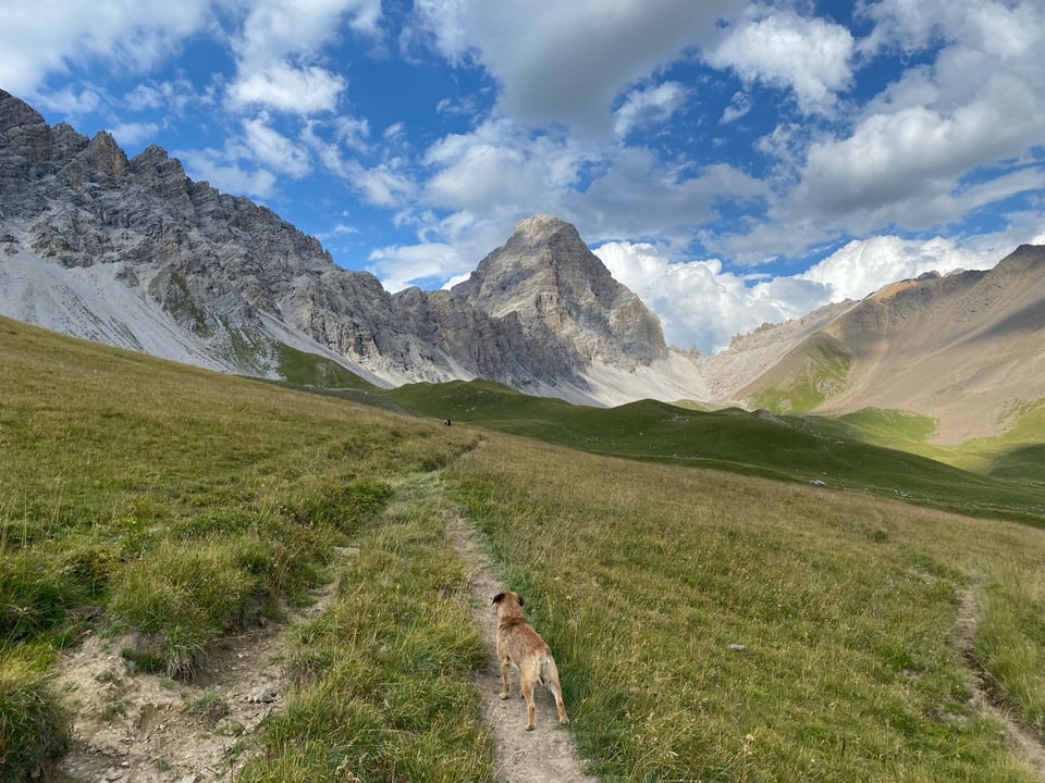 purtret d'ina bellezza cuntrada e davostier ina gronda muntogna en furma sco il Matterhorn che guarda siadora. 