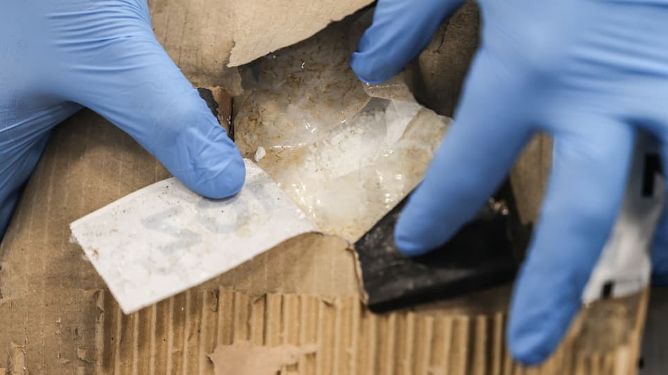 Kokainschmuggel aus Südamerika - «In Europa lassen sich viel höhere Gewinne  mit Kokain machen» - News - SRF