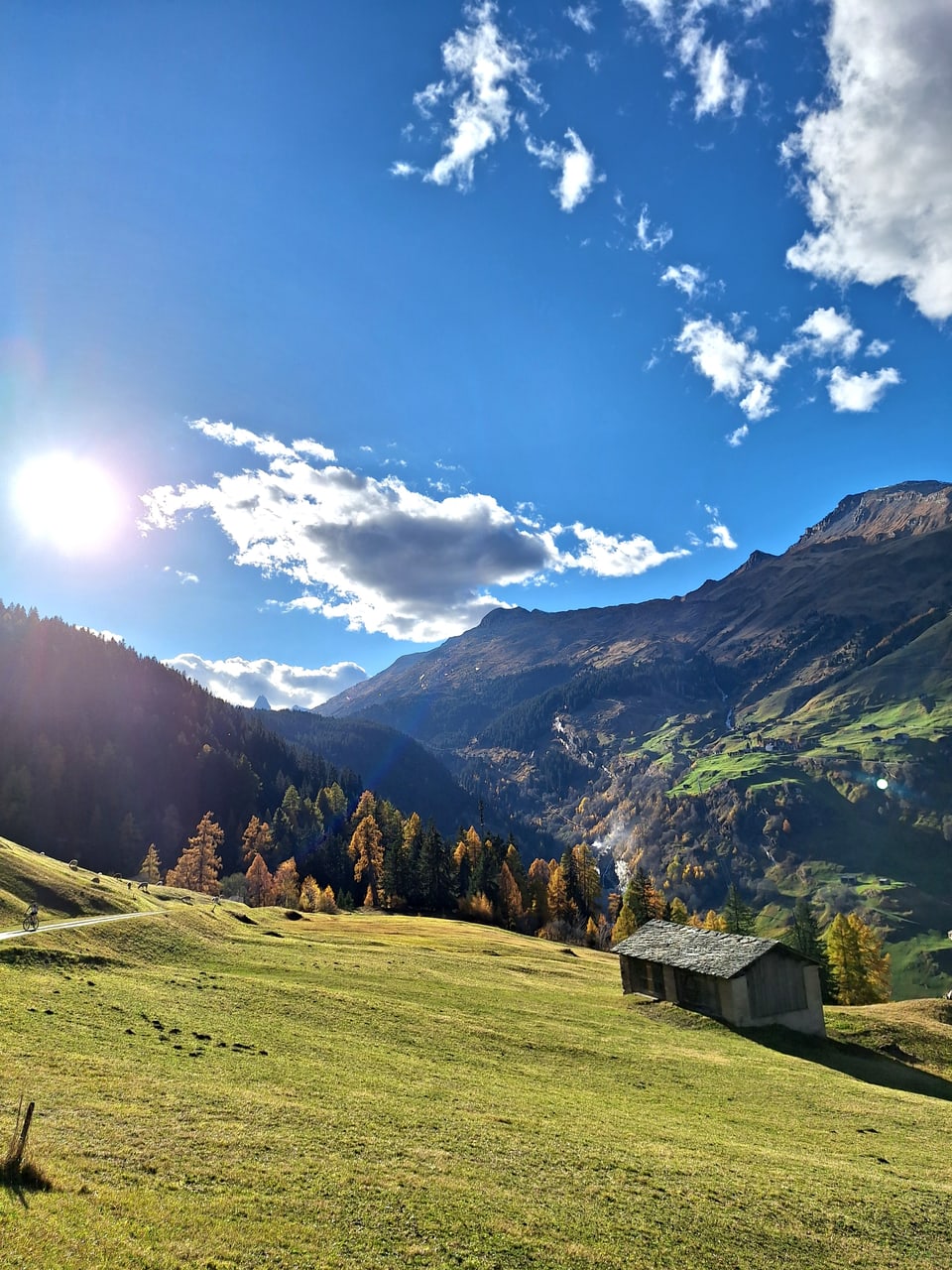 Almhütte im sonnigen Tal vor Bergkulisse.