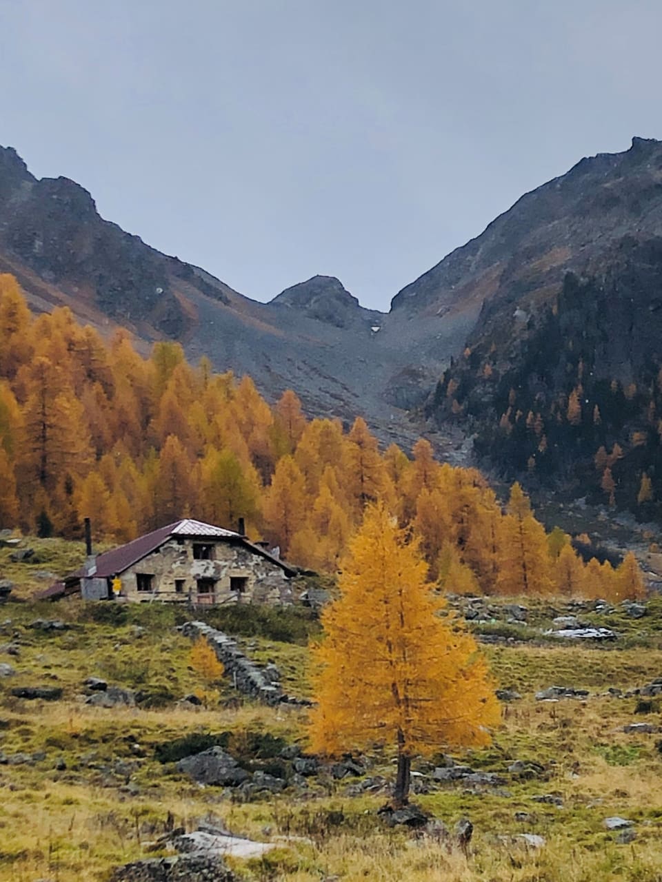 Berghütte in herbstlicher Landschaft mit bunten Bäumen und Bergen im Hintergrund.