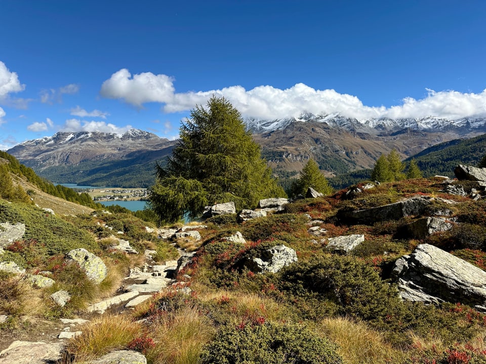 Wanderweg in Gebirgslandschaft