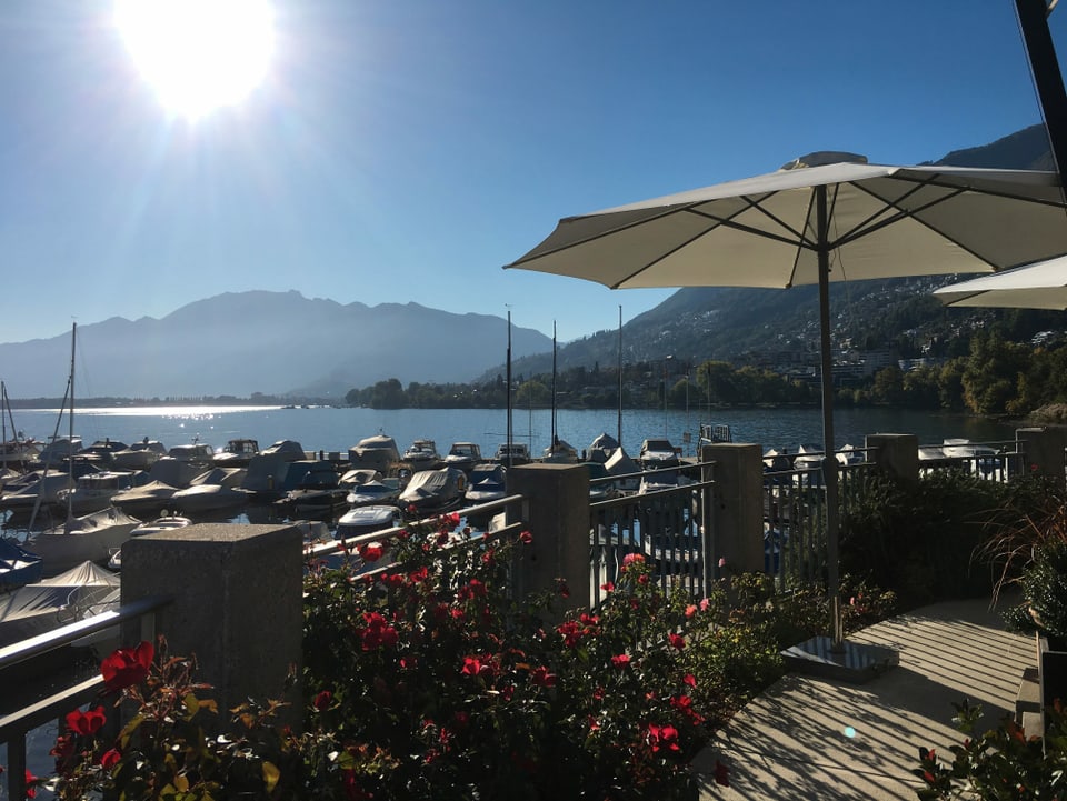 Hafen mit Sonnenschirmen und strahlendem Sonnenschein.