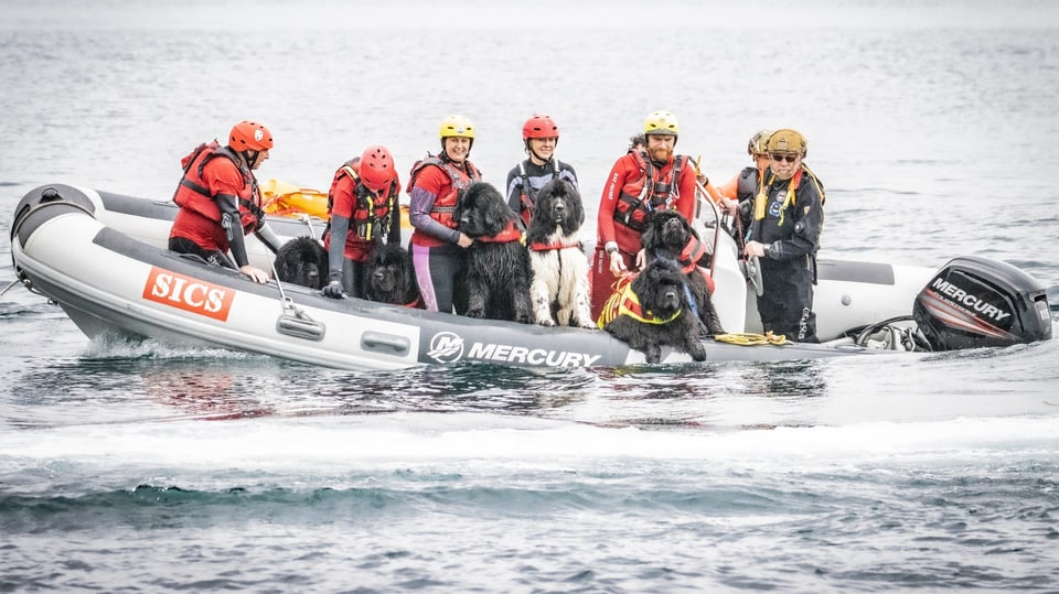 Ein Boot mit sechs Hundehalterinnen und -haltern inklusive ihrer Hunde.