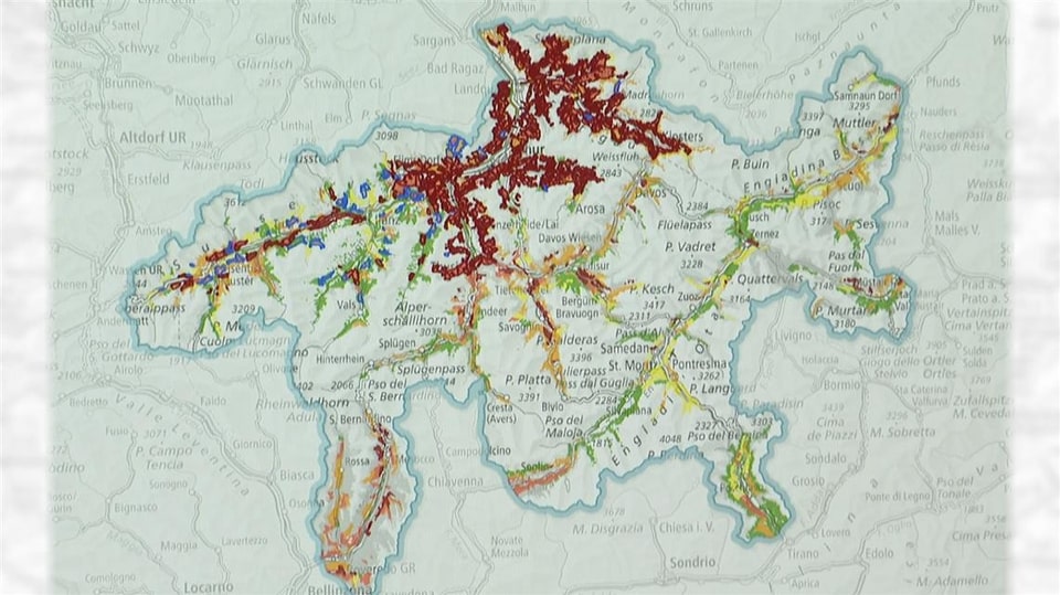 40% des Schutzwaldes kann sich nicht verjüngen wegen dem Wildverbiss