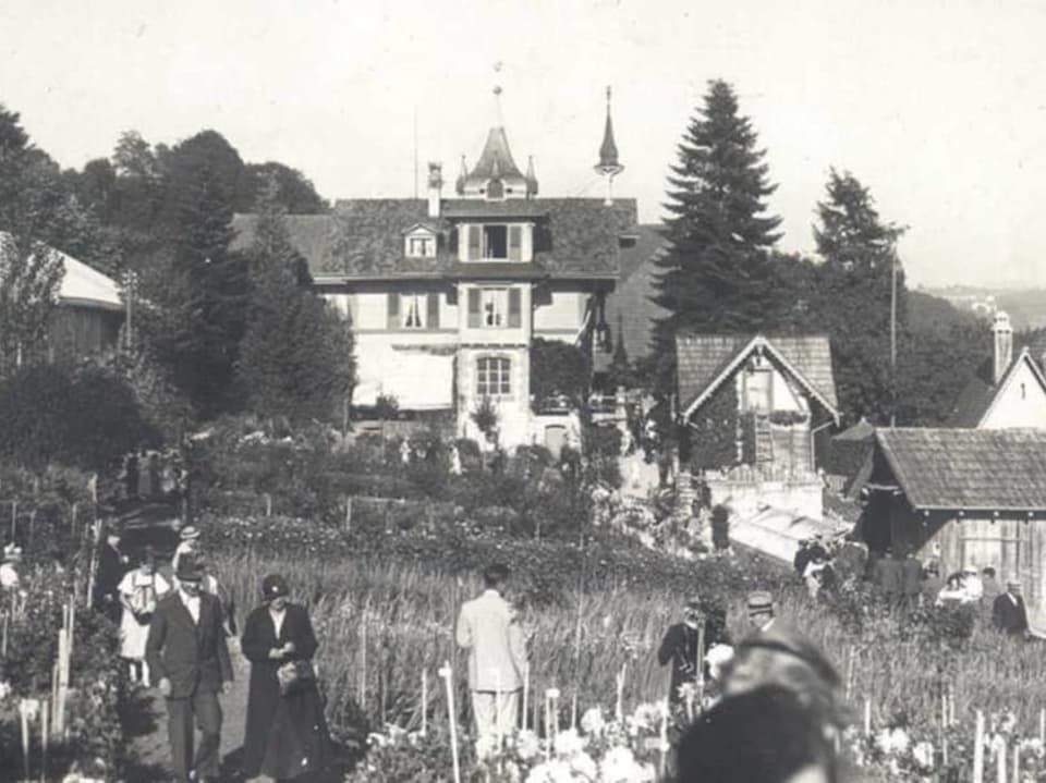 Stattliches Herrenhaus angrenzend an ein Dahlienfeld. Historisches Schwarzweissfoto.