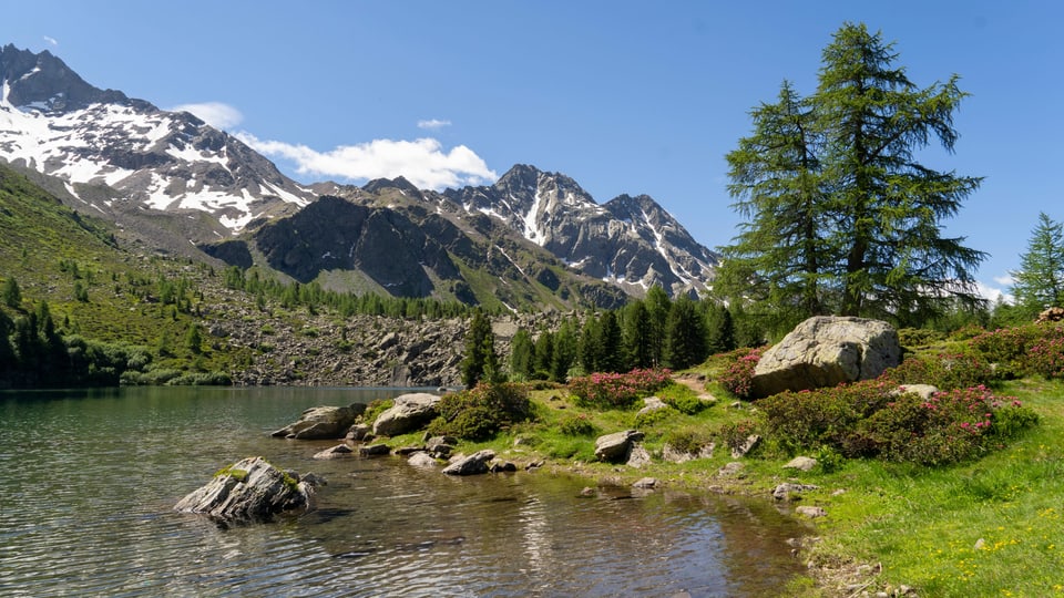 Lago di Val Viola.