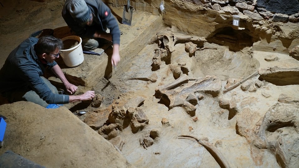 Archäologen arbeiten an einer Ausgrabungsstätte.