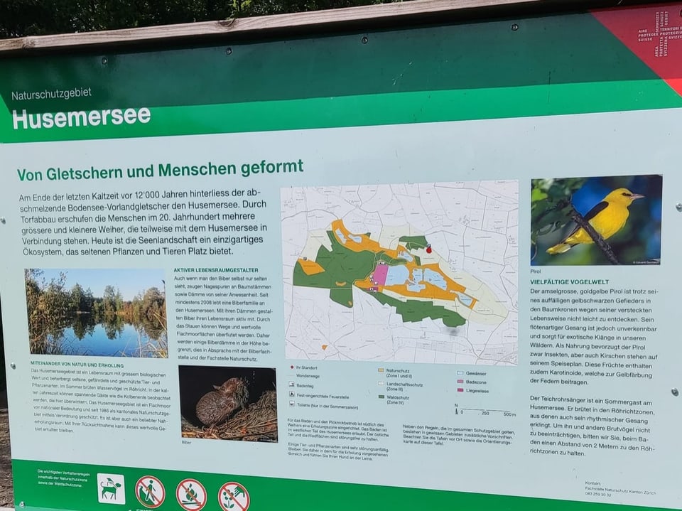 Informationstafel zu dem See und den Vögeln.