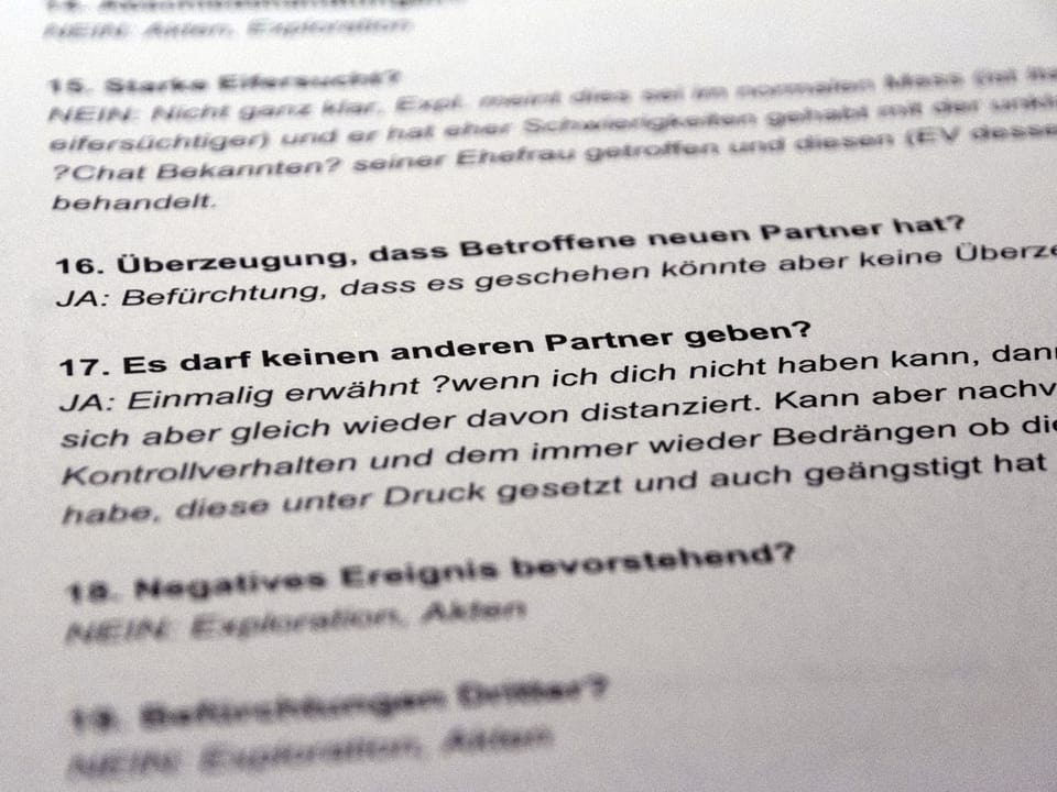 Eifersucht ist ebenfalls ein Kriterium, das gemäss Dyrias eine Auswirkung auf die Gewaltbereitschaft haben kann.