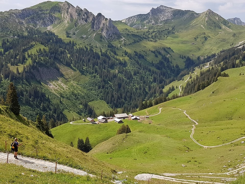 Eine Gruppe von Hütten auf einer Alp.
