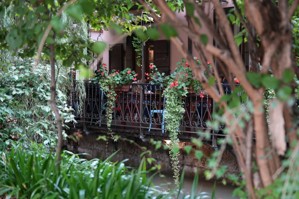 Laubgrüner Balkon mit Blumen und Geländer.