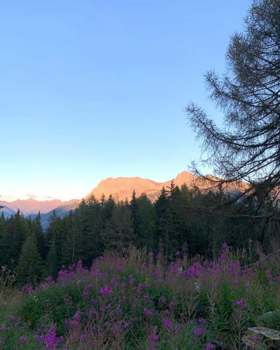 La vista davent da la chamona Tulai sur Ramosch.