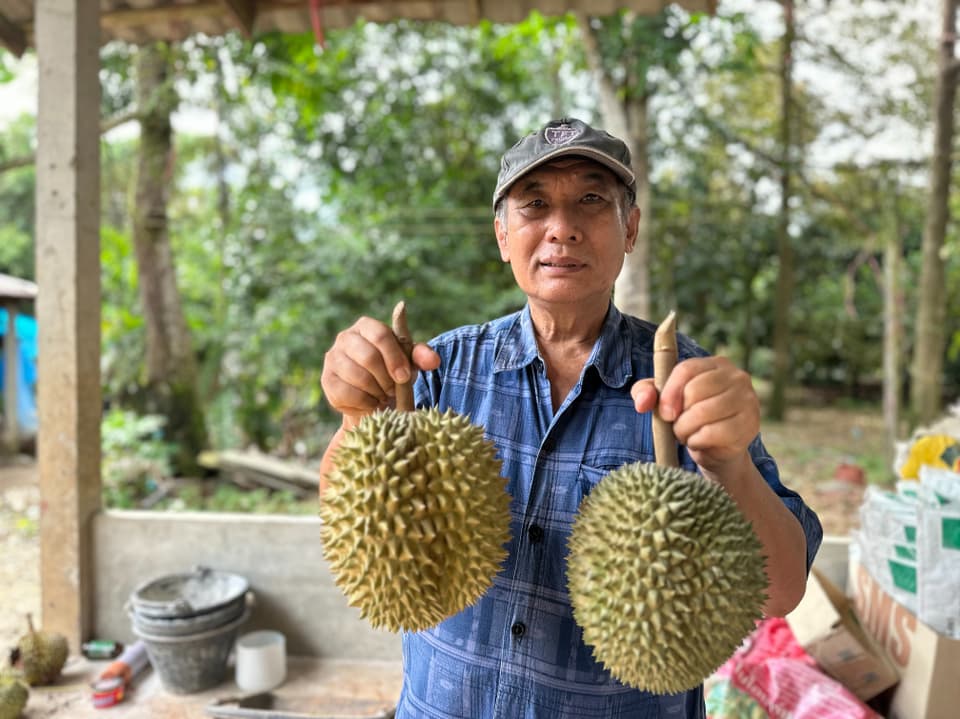 Songpol Somsri mit zwei Durian-Früchten