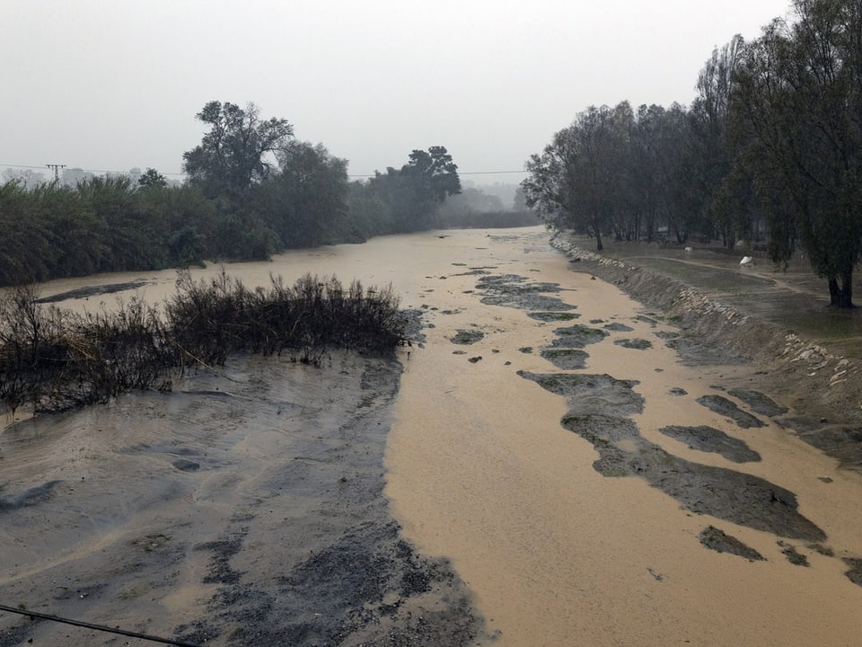 Breiter, schlammiger Fluss