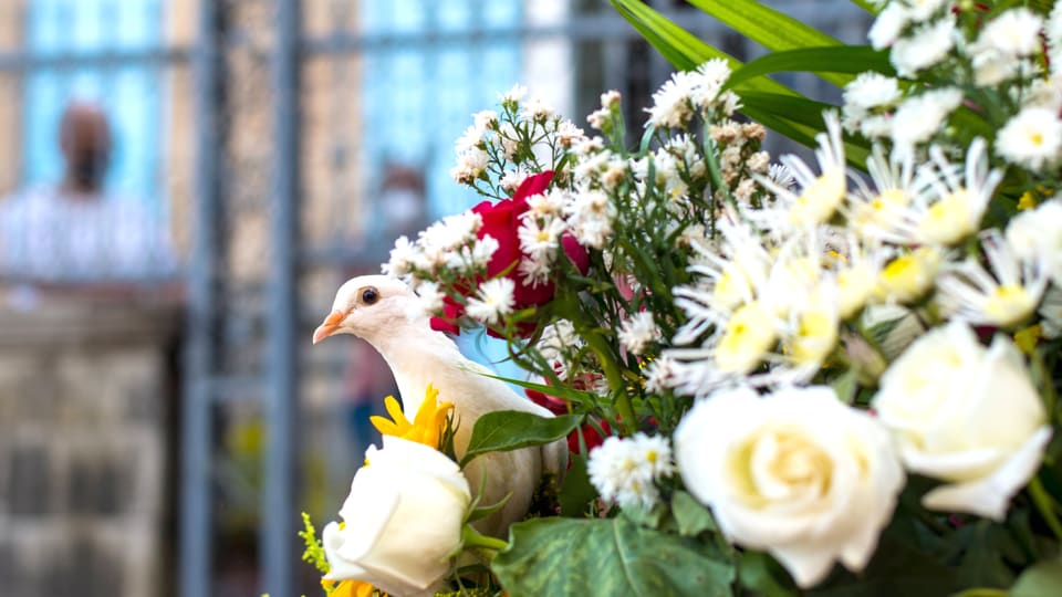 Eine Taube neben einem Blumenstrauss vor einer Kirche.