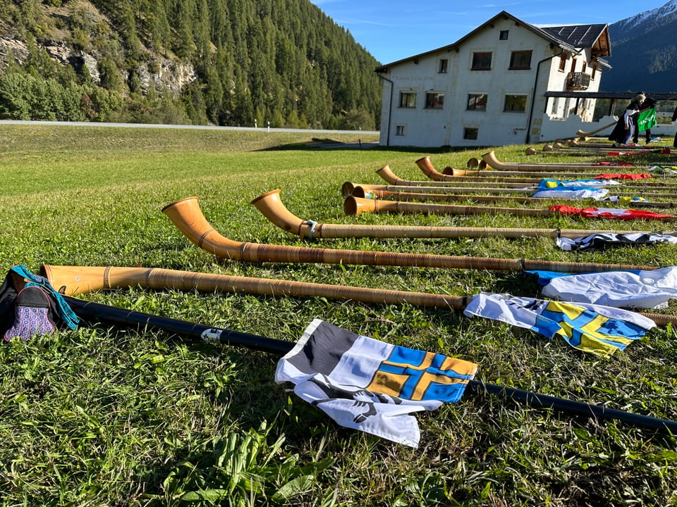 Alphörner und Flaggen auf Wiese vor einem Gebäude.