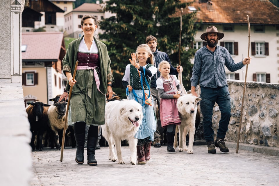 Bräuche und Traditionen: Schafsschur / Tundeida Savognin