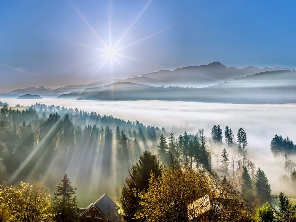 Sonnenstrahlen über nebelverhangenen Bergen und Wäldern.