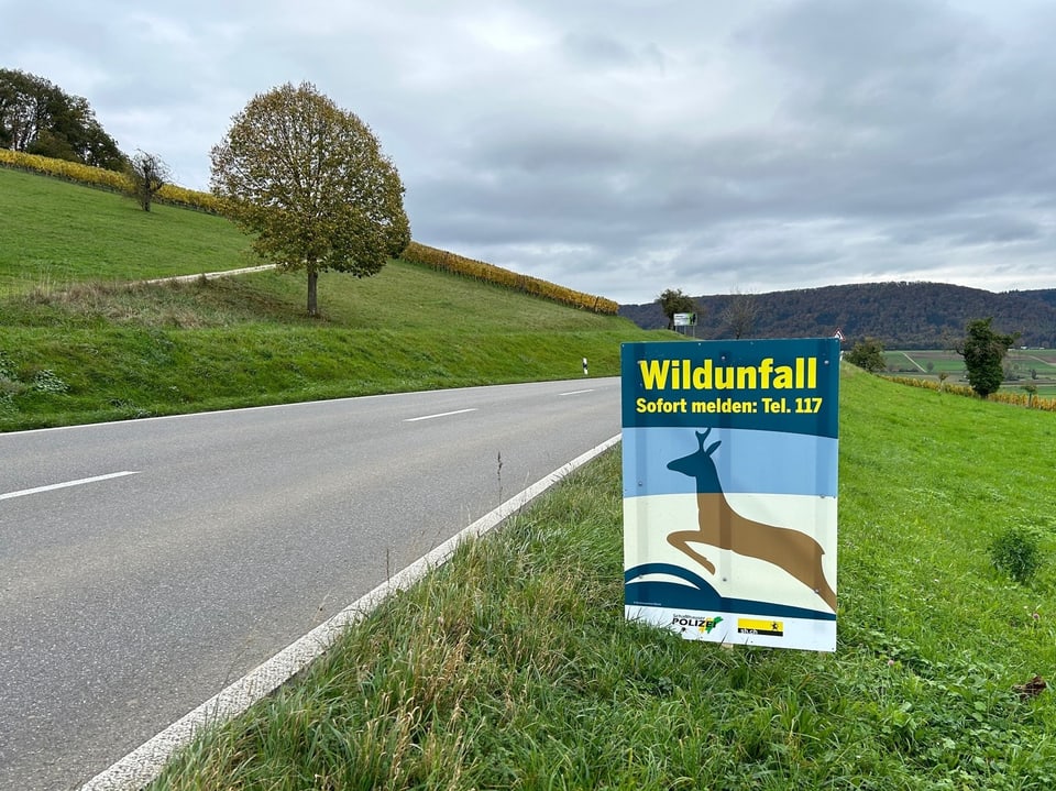 Strasse mit Schild für Wildunfall, grünes Feld im Hintergrund.