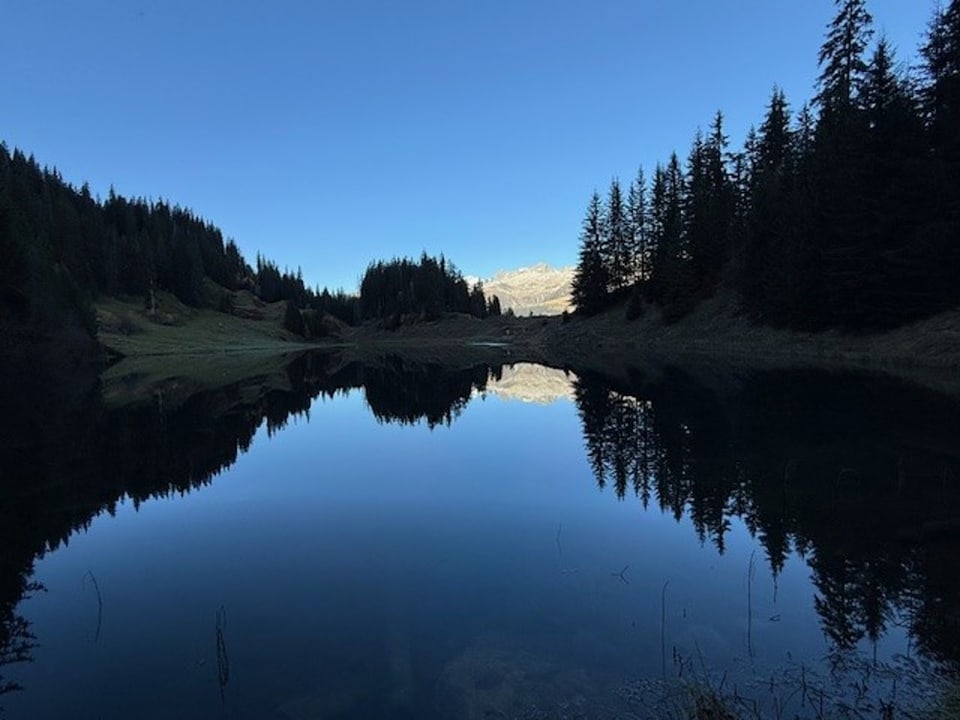 Bergsee mit Wald und Spiegelung der Bäume im Wasser.