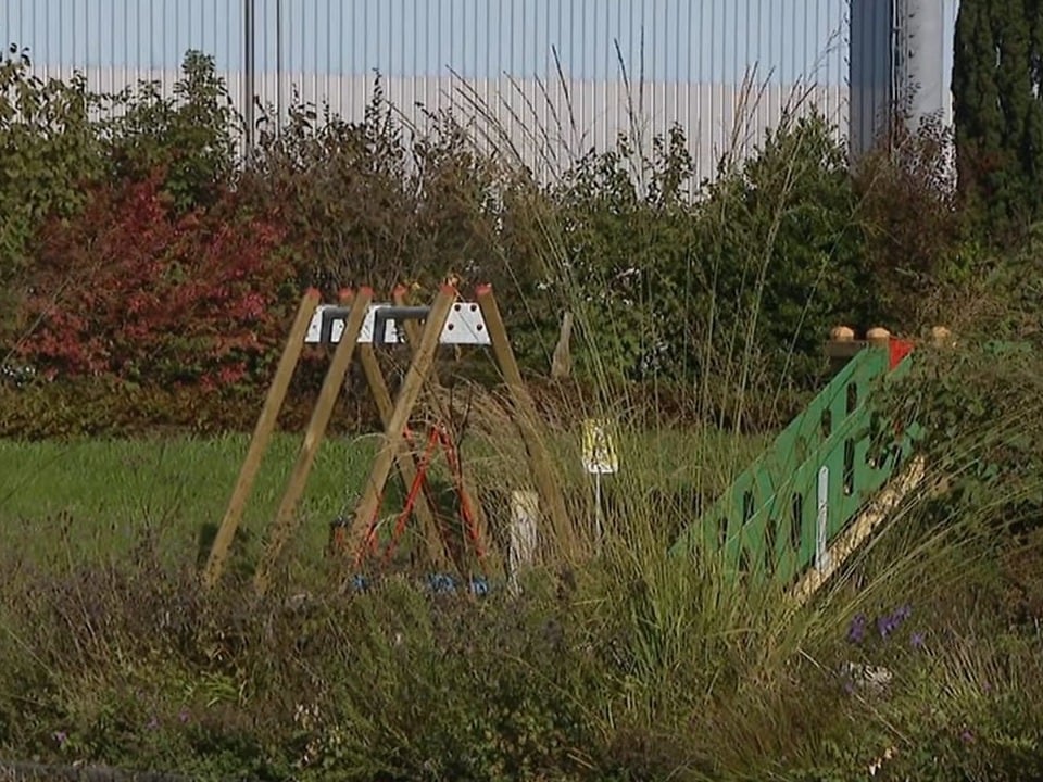 Ein Spielplatz, rundherum Büsche und Pflanzen. 