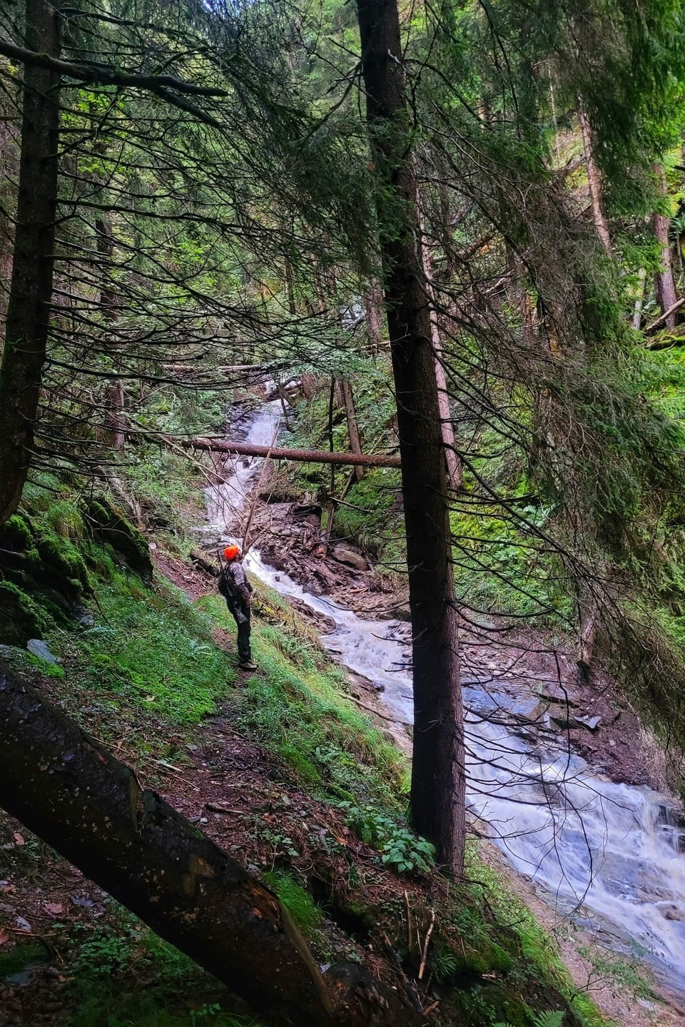 Jäger im wald neben Bach