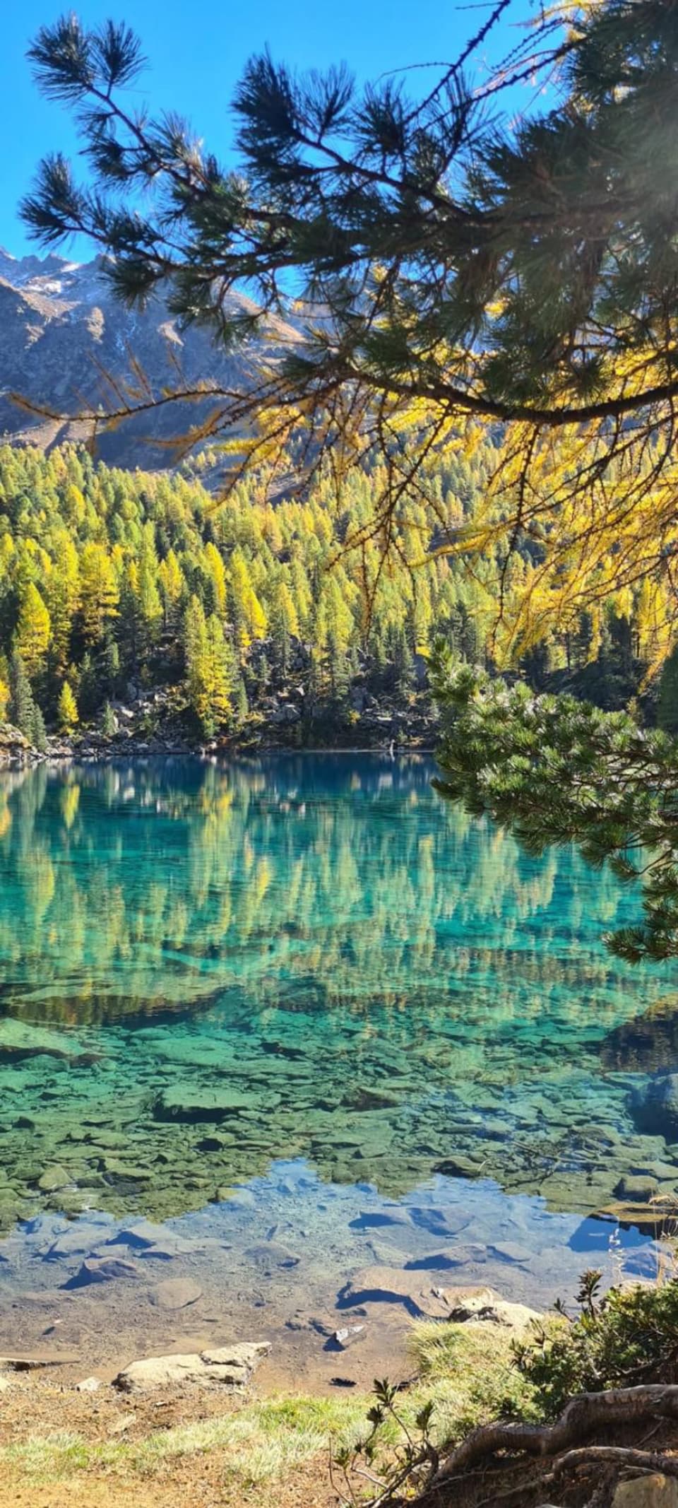 Alpensee mit klar blauem Wasser, umgeben von Herbstbäumen und Bergen.