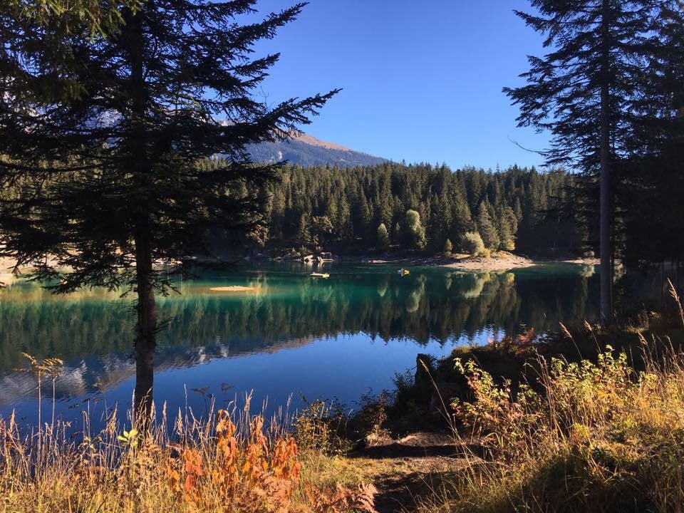 Klarer Bergsee mit Wald im Hintergrund.