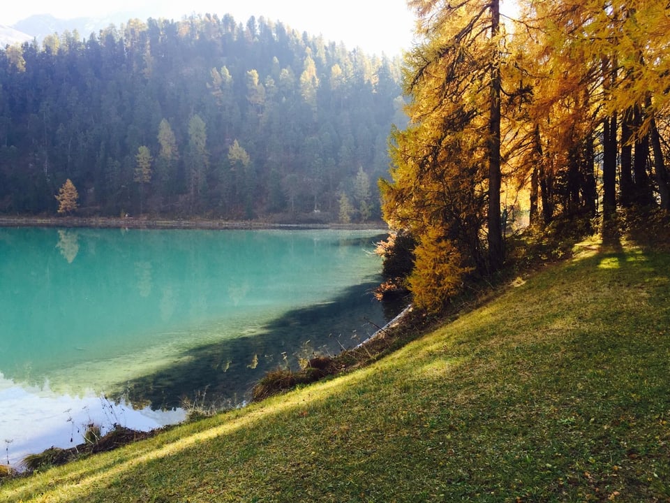 Herbstwald am türkisfarbenen Seeufer.