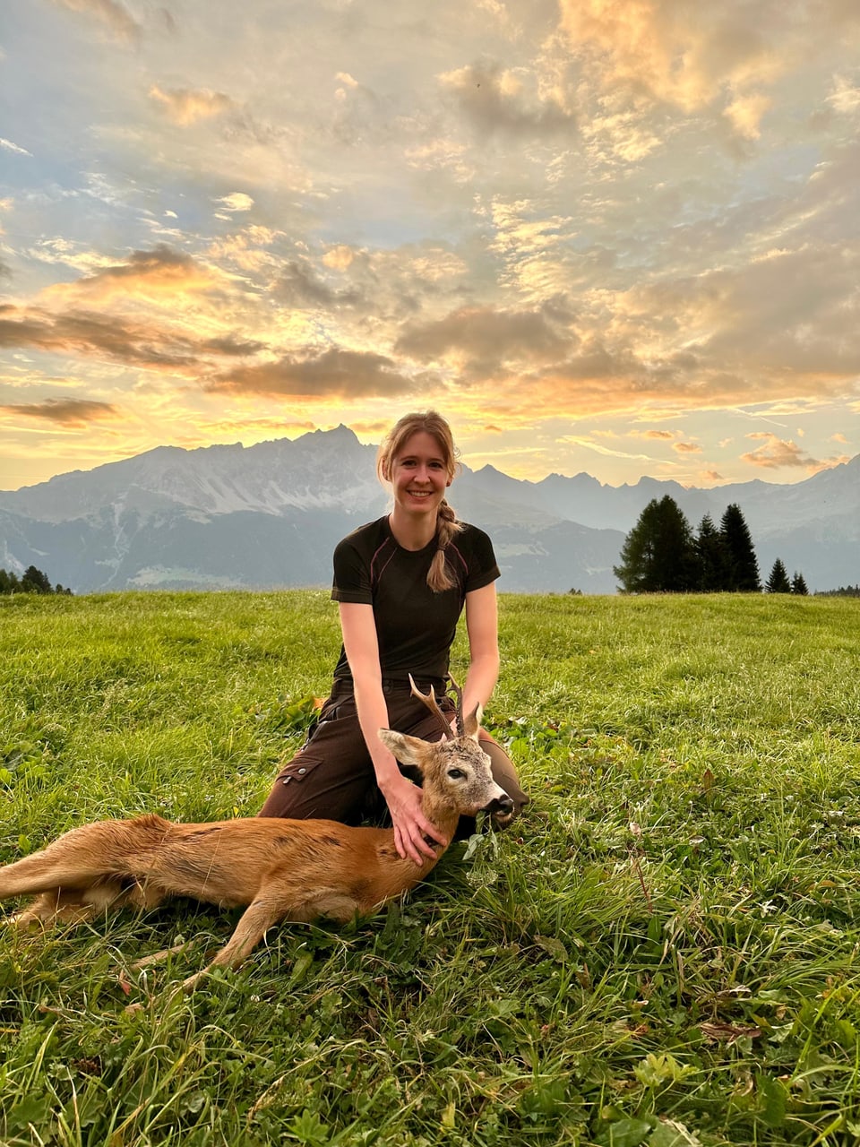 Frau hält Hirsch auf grüner Wiese bei Sonnenuntergang und Bergen im Hintergrund.