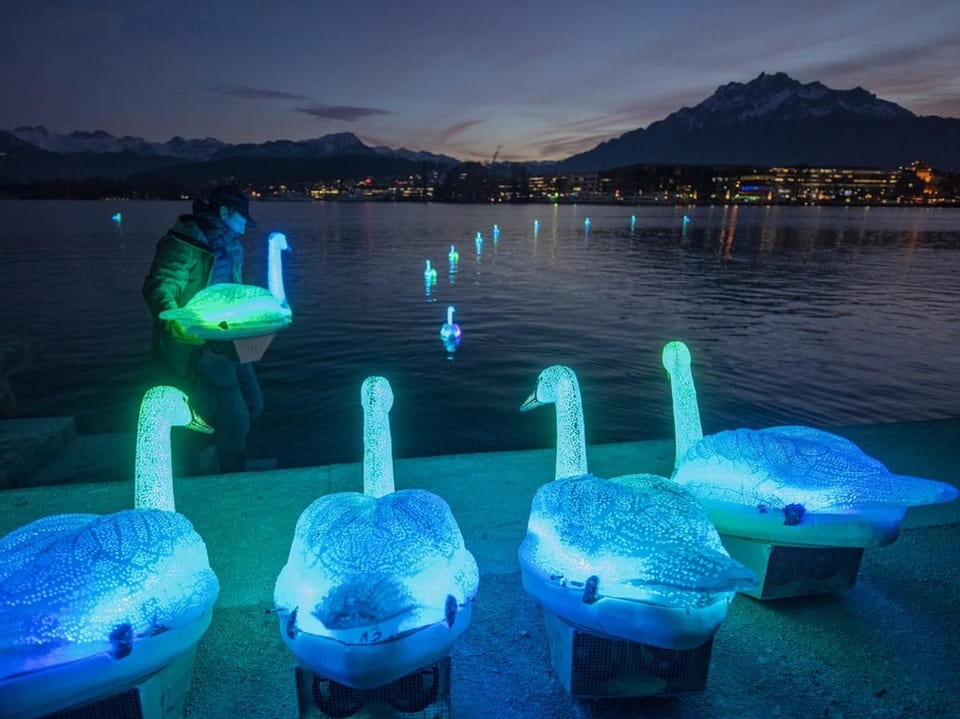 Ein Mann hält einen blau leuchtenden Schwan. Im Hintergrund schwimmen solche Schwäne auf dem Wasser.