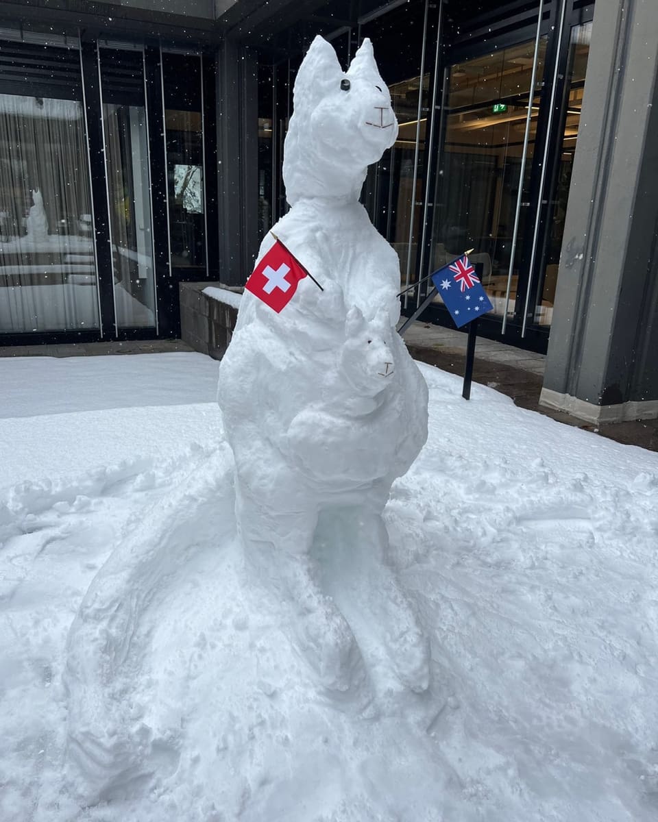 Schneeskulptur eines Kängurus mit Schweizer und australischer Flagge.