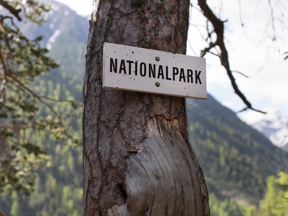 Schild «Nationalpark» an einem Baum