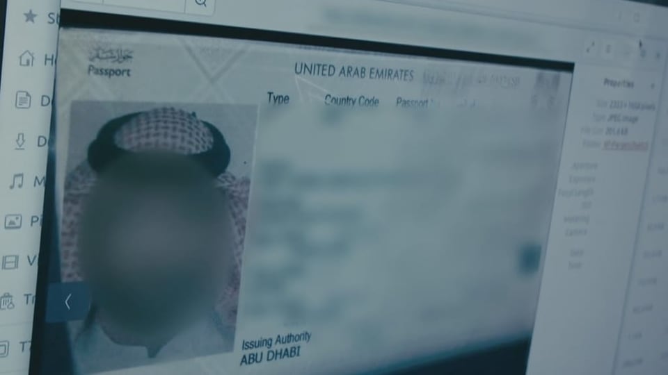 Ein Screenshot eines Passes. Das Foto wurde unkenntlich gemacht.