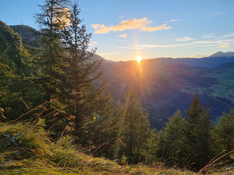 Sonnenuntergang über bewaldeten Bergen in den Alpen.