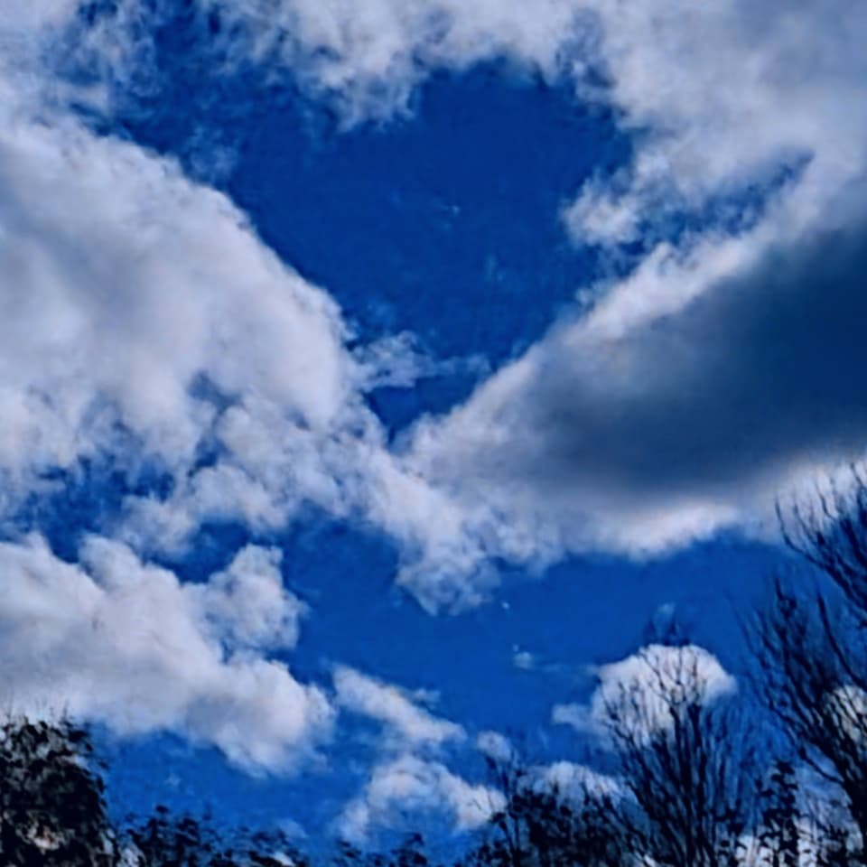 Wolkiger Himmel mit Bäumen im Vordergrund.