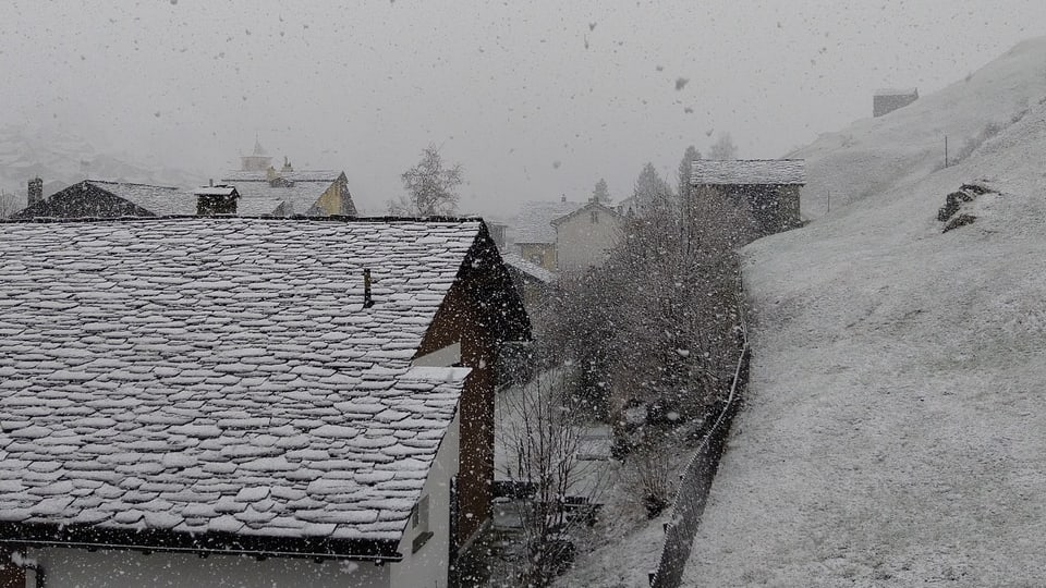 Leicht verschneite Landschaft in Vals.