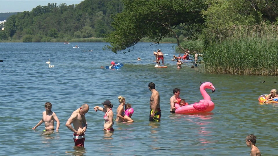 Erwachsene und Kinder baden im See