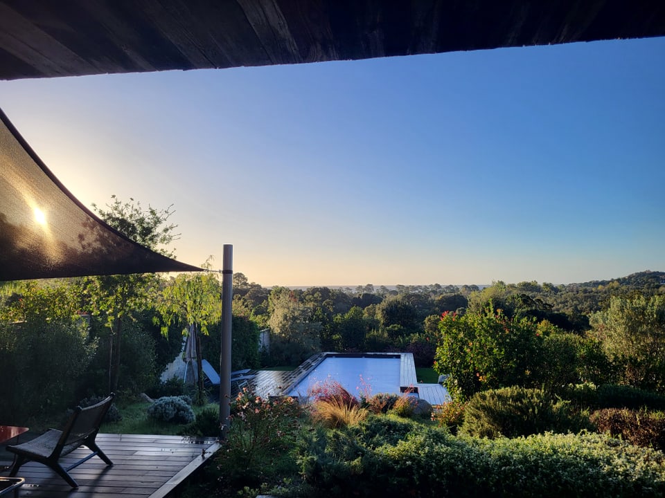 Blick auf Garten mit Pool und Bäumen bei Sonnenaufgang.