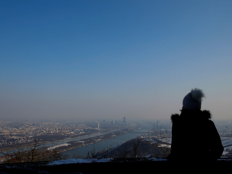 Blick über Wien im Winter.