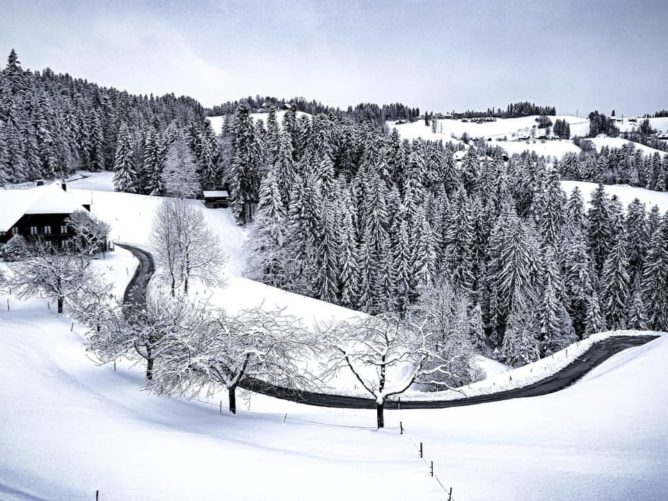 Hügellandschaft im Schnee